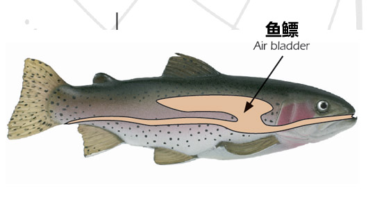 環(huán)境氣象|空氣質量|海洋環(huán)境|水質水文|植物生態(tài)