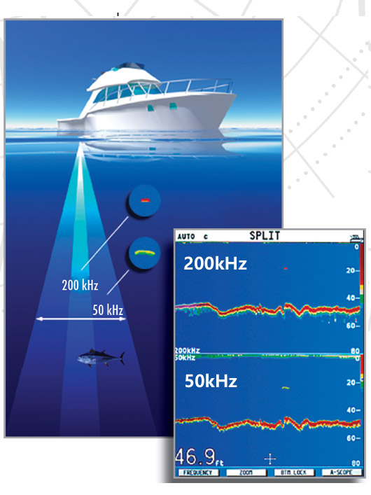 環(huán)境氣象|空氣質量|海洋環(huán)境|水質水文|植物生態(tài)
