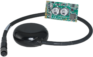 環(huán)境氣象|空氣質(zhì)量|海洋環(huán)境|水質(zhì)水文|植物生態(tài) 環(huán)境氣象|空氣質(zhì)量|海洋環(huán)境|水質(zhì)水文|植物生態(tài)